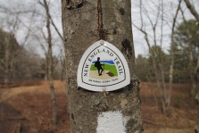 A trail marker at a trailhead at Scarborough Brook Conservation Area in Belchertown.